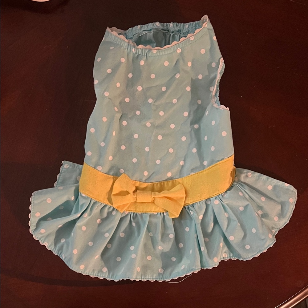 Polka Dot Dress with Yellow Bow Martha Stewart dog pet